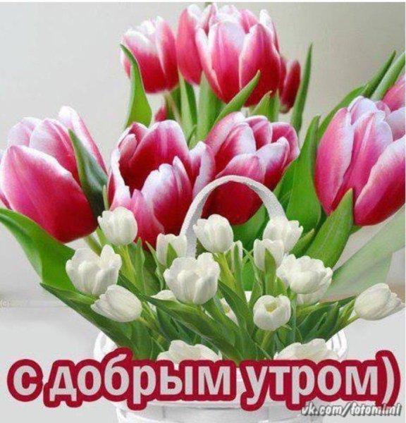 Пожелания добра