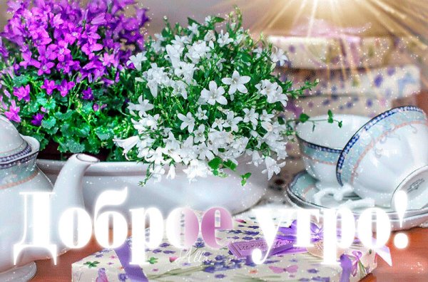 Открытки с добрым утром весенние