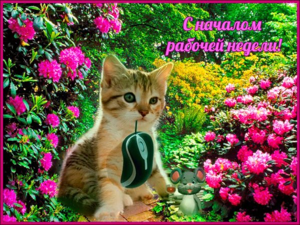 Добрые пожелания и высказывания