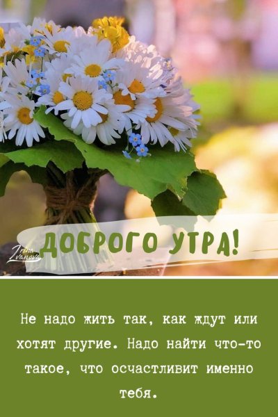 Цветы на столе