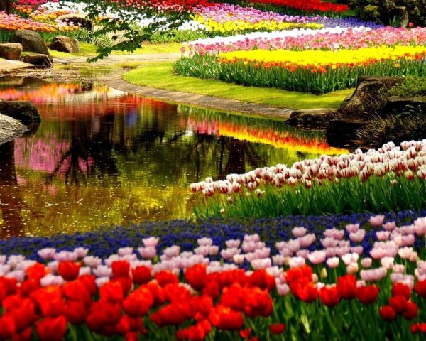 Весенний сад (Spring Topiary Garden)