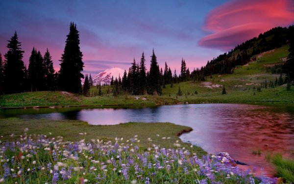 Поляна с озером