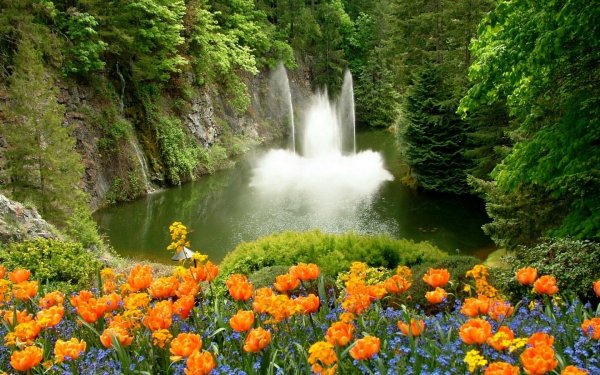 Цветущее озеро