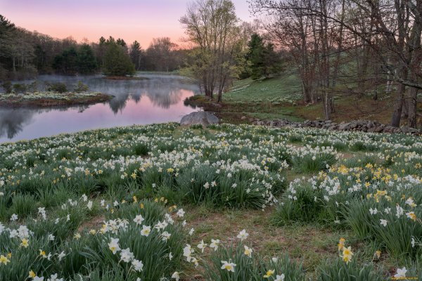 Красивая природа