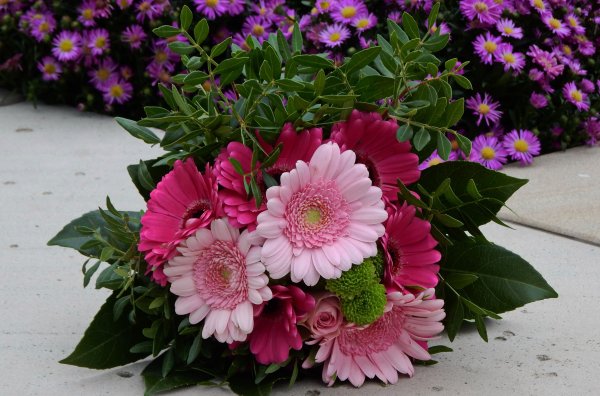 Букет Гербера Хризантема Маргаритка