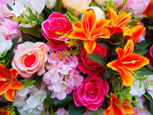 Flowers Gallery