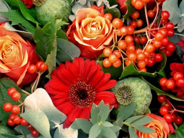 Москва Цветочная композиция Страна чудес sendflowers