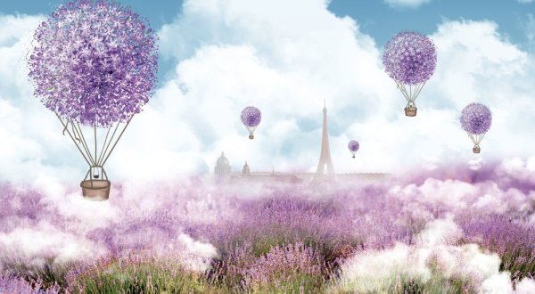 Воздушные шарики цветы лето