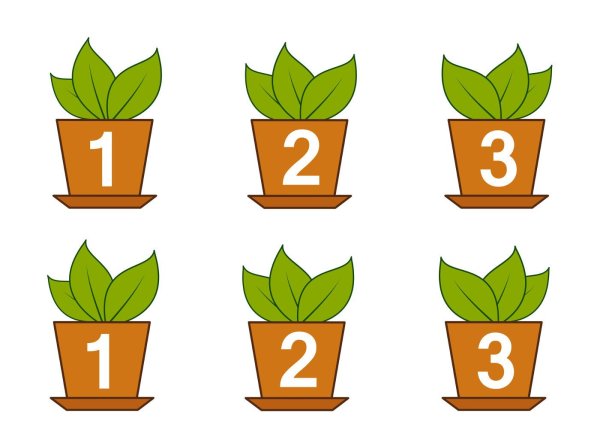 Растения для дошкольников