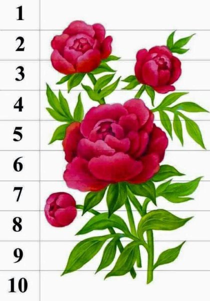 Дидактический материал цветы