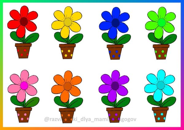 Бабочки задания для детей