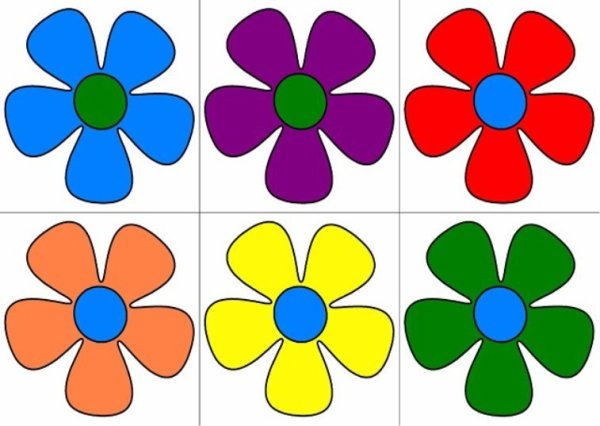 Цветы учителю математики