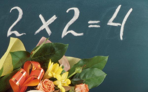 Растения клумбы задания для детей