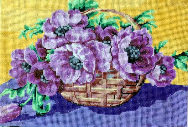 Триш Бурр шиповник