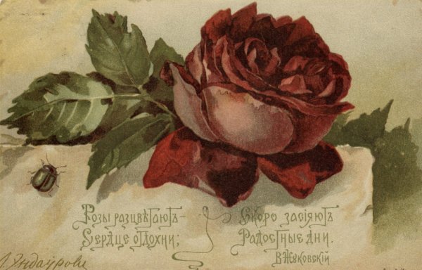 Старинные открытки цветы