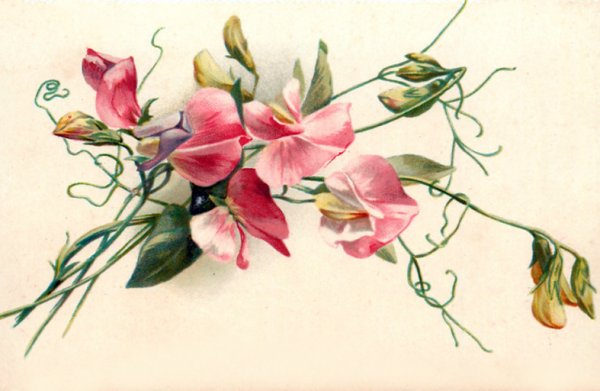 Катарина Кляйн колокольчики