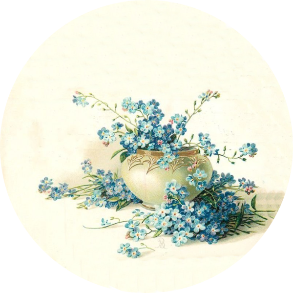 Ирисы Ольги Ионайтис