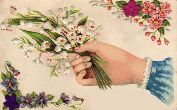 Катарина Кляйн нарциссы