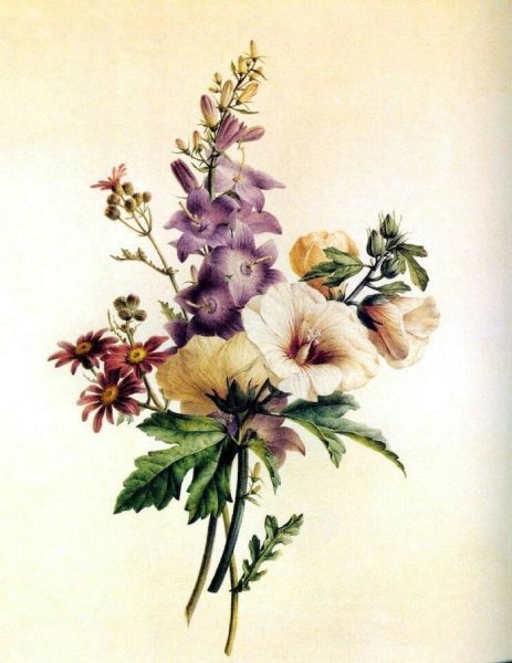 Катарина Кляйн пионы