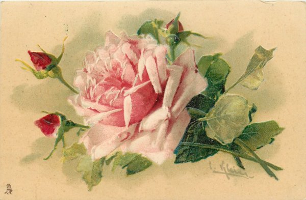 Цветы для декупажа горизонтальные