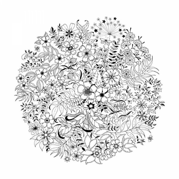 Антистресс цветы