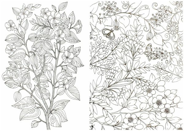 Раскраска антистресс "цветы"