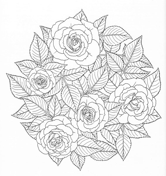 Раскраска антистресс "цветы"