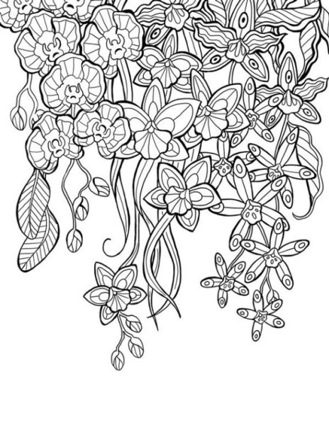Раскраска анти тресс цветы
