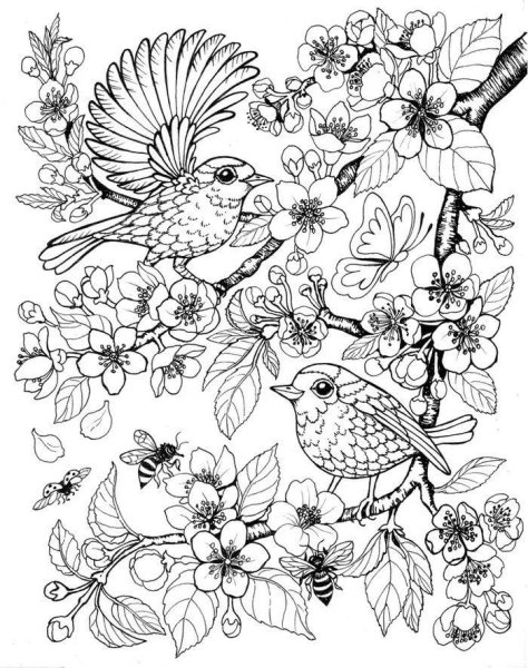 Антистресс раскраски цв