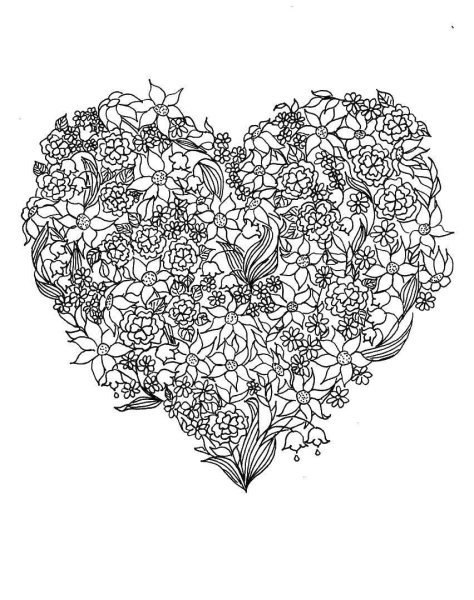 Цветы. Раскраска