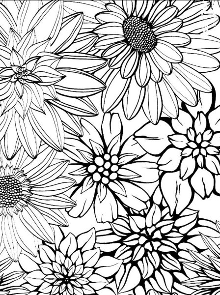 Роза раскраска для детей