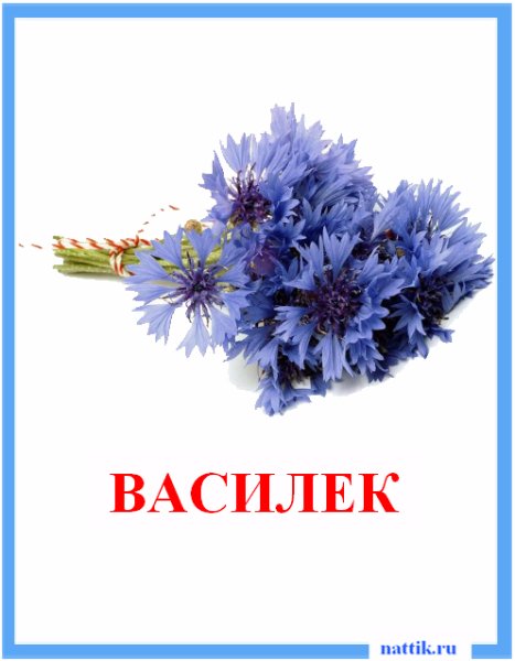 Карточки цветы