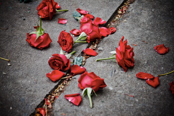 Разбросанные розы