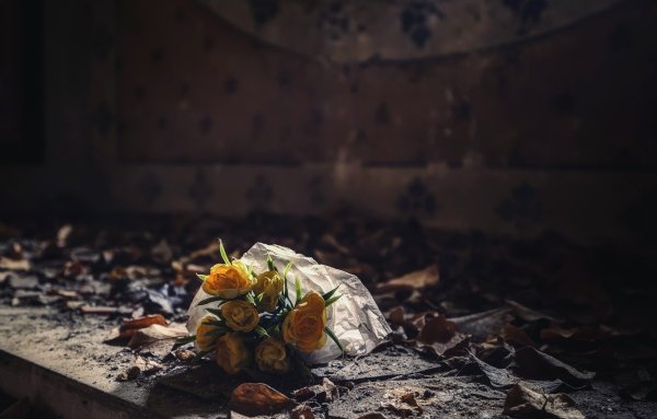 Брошенные цветы