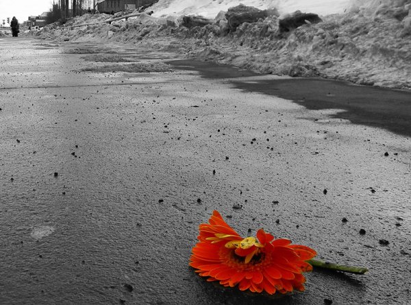 Сломанный цветок