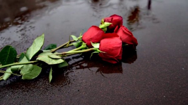 Цветы лежащие на земле