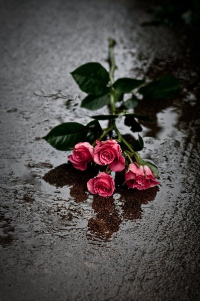 Грустный цветок