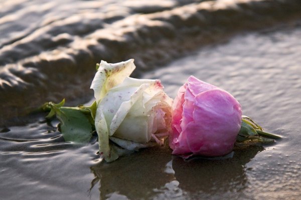 Кидает цветы