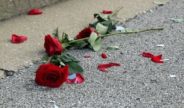 Букет роз в мусорке