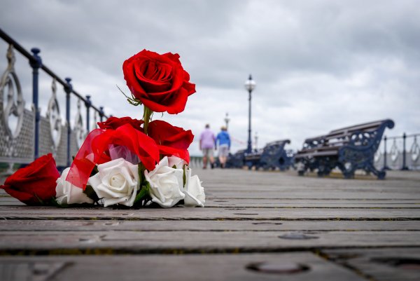 Цветы в мусорке