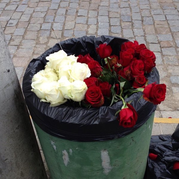 Заснеженный букет роз