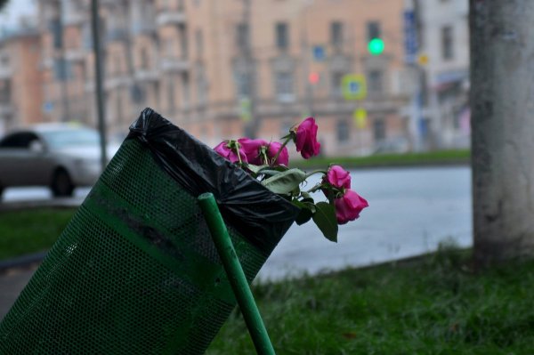 Брошенные цветы