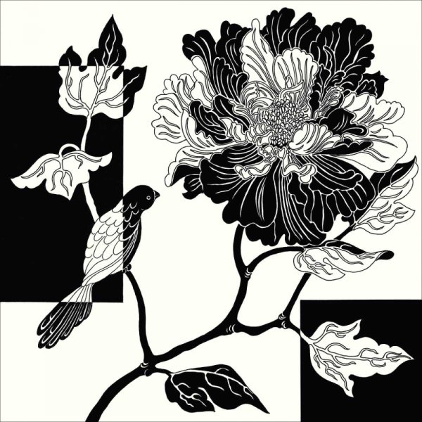 Цветы картины монохромные