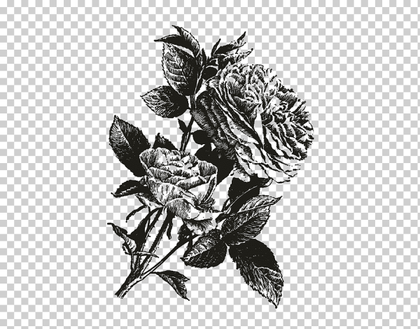 Цветы монохром