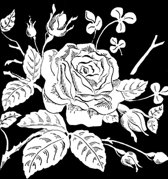 Монохромная иллюстрация