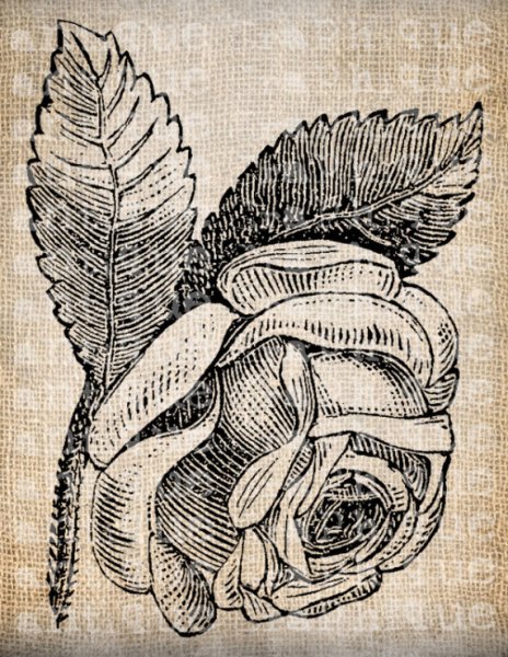 Монохромная гравюра