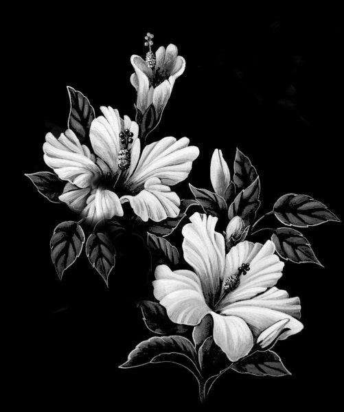 Монохромные цветы