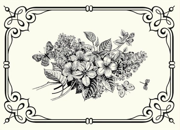 Монохромные рисунки для декупажа