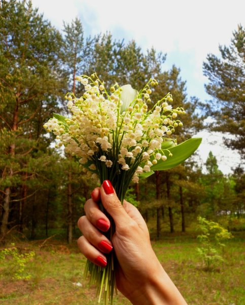 Букет ландышей в руках
