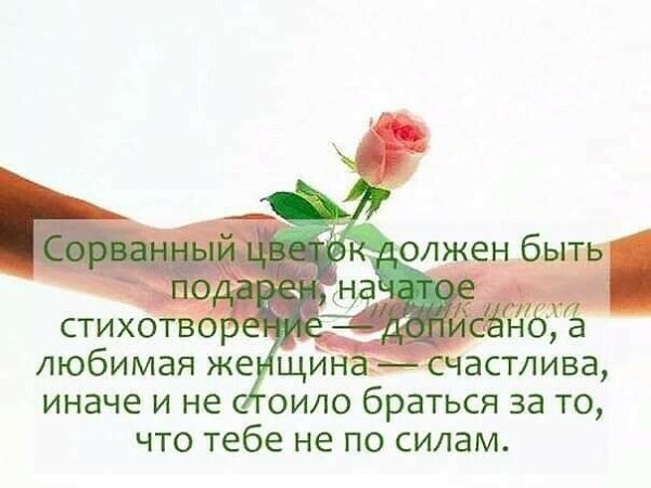 Цитата про сорванный цветок